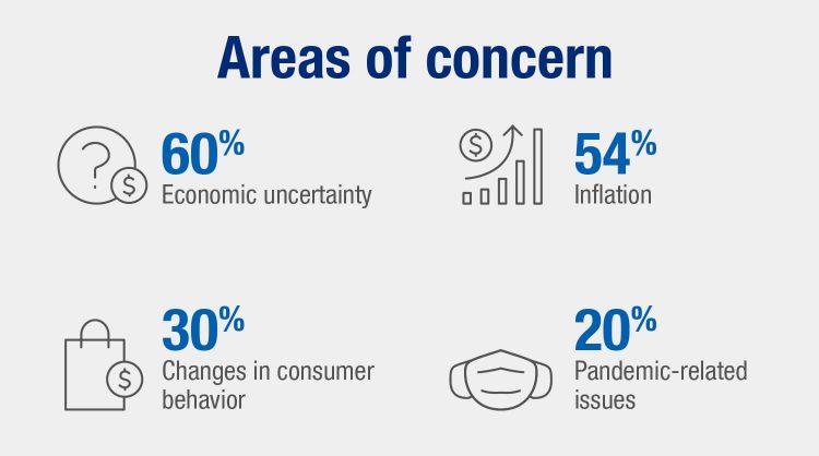 Infographic showing areas of concern for small business owners, according to the First Citizens 2023 small business survey
