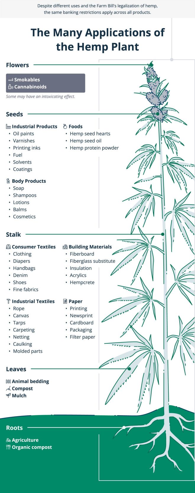 Infographic showing the many applications of the hemp plant