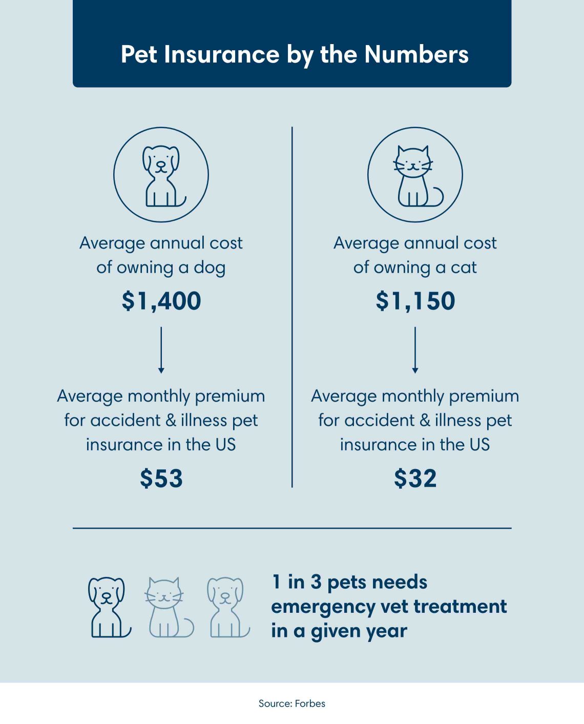 The Cost of Pet Ownership and Insurance